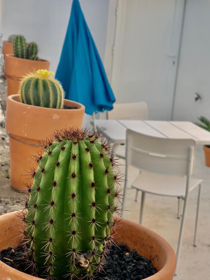 شقة Loft La Isla بلايا بلانكا المظهر الخارجي الصورة