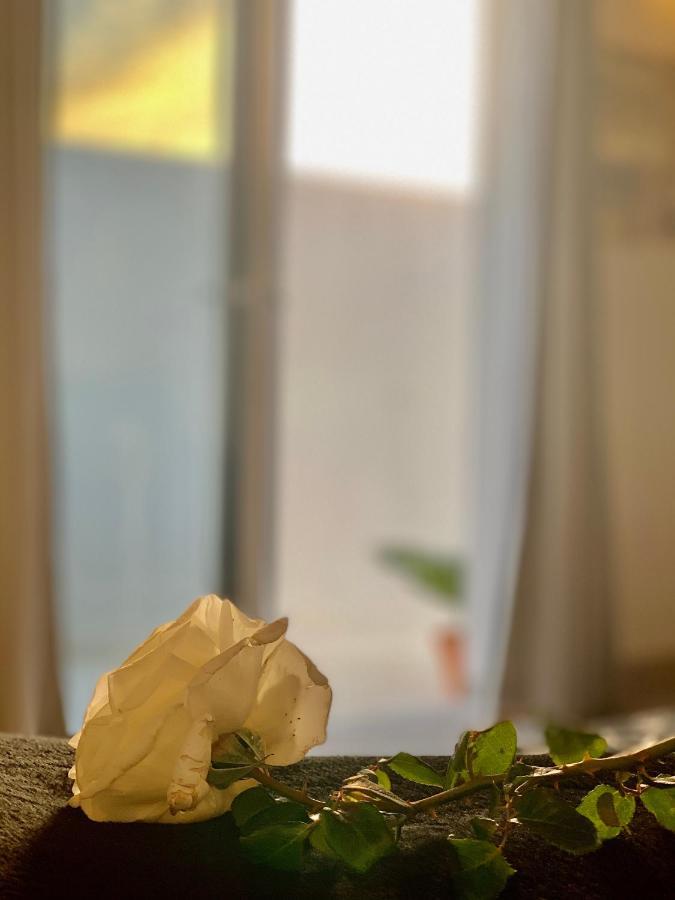 شقة Loft La Isla بلايا بلانكا المظهر الخارجي الصورة